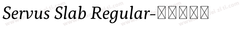 Servus Slab Regular字体转换